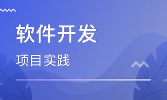 鄭州科技市場(chǎng)軟件開發(fā)培訓(xùn)班市場(chǎng)調(diào)研與排名分析