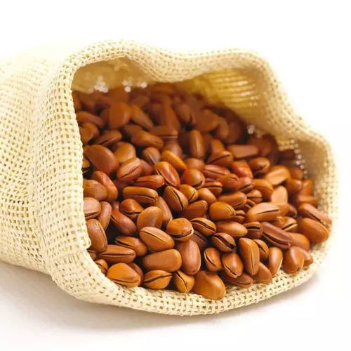 大雪時節養生，干果助您暖身又滋補